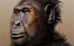 Biology of early human relative uncovered