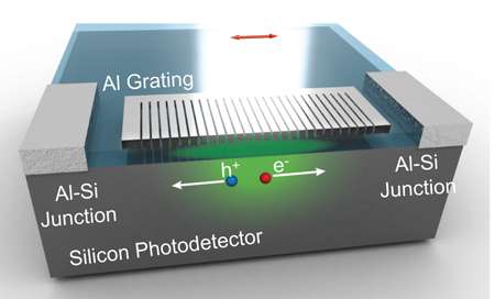 Biomimetic photodetector ‘sees’ in color