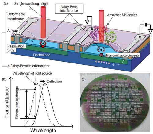 Biosensor based on a microelectromechanical system integrated with a photodetector