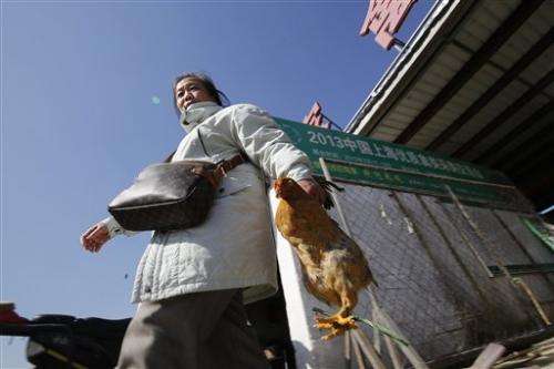 Bird flu spikes in China ahead of Lunar New Year