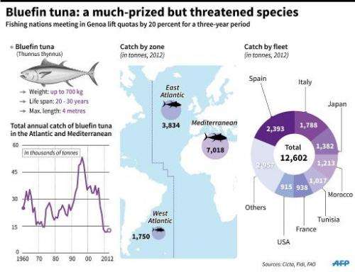 Bluefin tuna: a much-prized but threatened species
