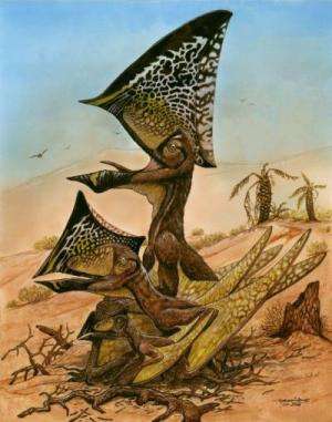 Bones from nearly 50 ancient flying reptiles discovered