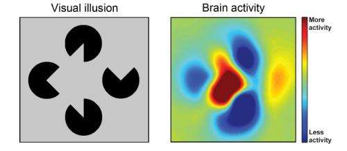 Brain fills gaps to produce a likely picture