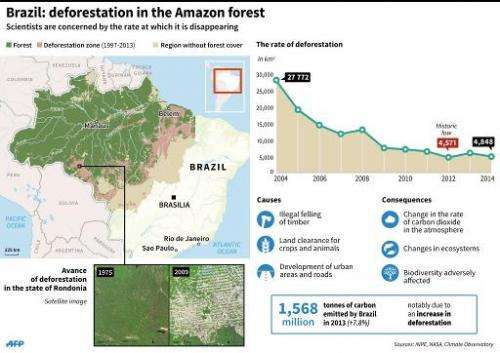 Brazil: deforestation in the Amazon forest