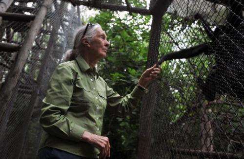 British anthropologist and primatologist Jane Goodall takes the hand of a Spider Monkey during her visit to the Rehabilitation C