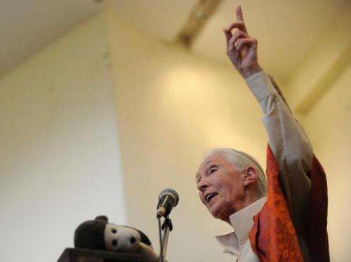 British primatologist Jane Goodall delivers a speech during a presentation at the National Museum on January 26, 2013 in Nairobi