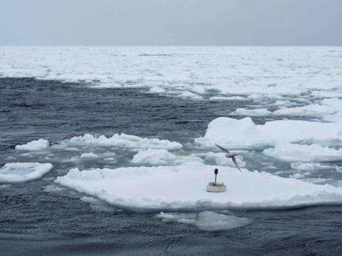 Study suggests large waves may have bigger role in breaking up polar sea ice than thought