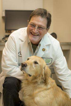 Cancer is common in pets; learn the signs during Pet Cancer Awareness Month