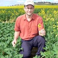 Canola flowers faster with heat genes