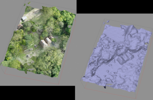 Capturing ancient Maya sites from both a rat's and a 'bat's eye view'