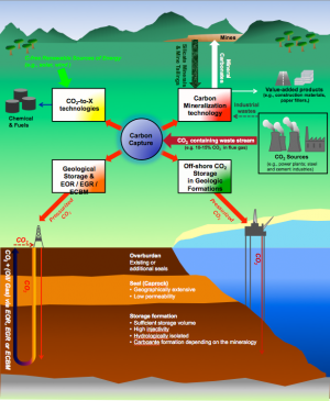 Carbon capture utilization and storage