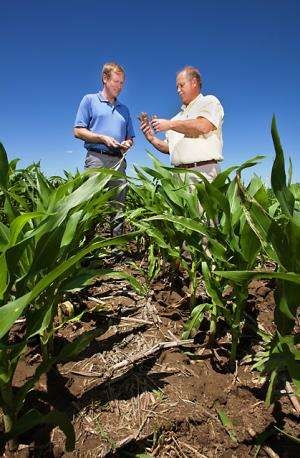 Carbon Sequestration Not So Simple in Biomass Crop Production