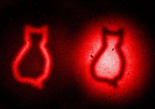 Picturing Schrodinger's cat: Quantum physics enables revolutionary imaging method