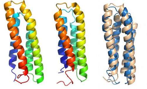Cell membrane proteins give up their secrets