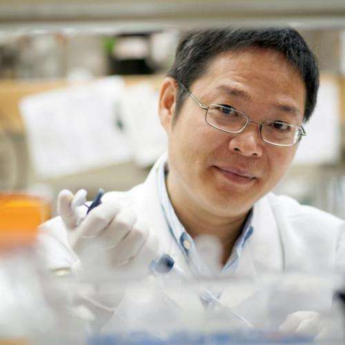 Cell signaling pathway linked to obesity, Type 2 diabetes