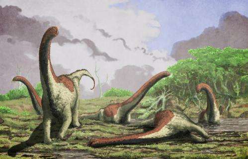New species of titanosaurian dinosaur found in Tanzania
