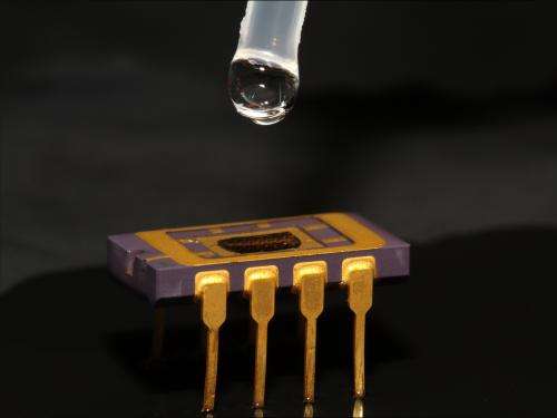 Chemical Sensor on a Chip