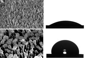 Chemical transformation yields surface-bound microstructures that repel oil- and water-based contaminants