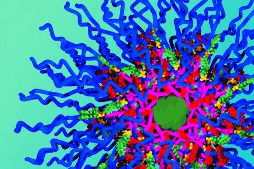 Chemists design nanoparticles that can deliver three cancer drugs at a time