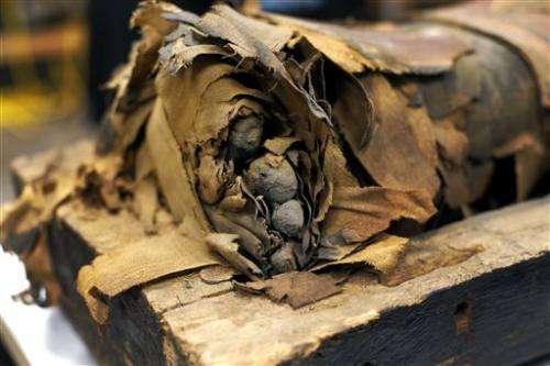 Chicago museum lifts lid on Egyptian mummy coffin