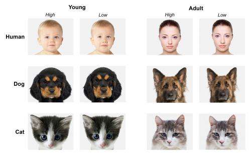 Children as young as three recognise ‘cuteness’ in faces of people and animals