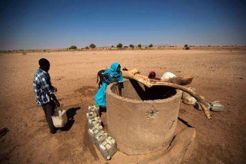 Children collect water from a well in the village of Shagra, North Darfur, January 16, 2014
