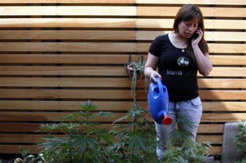 Chilean moms growing support for medical marijuana