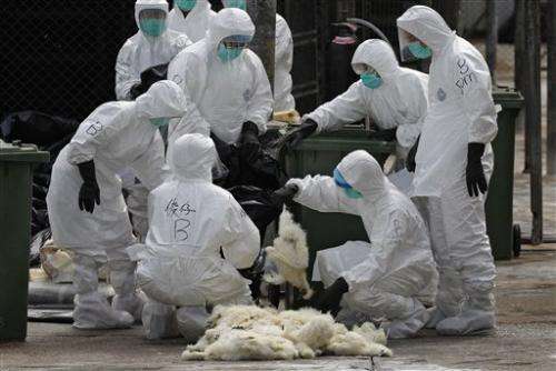 新的H7N9病例后，中国停止了家禽交易