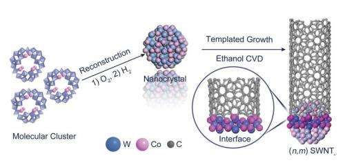 Chirality-controlled growth of single-walled carbon nanotubes