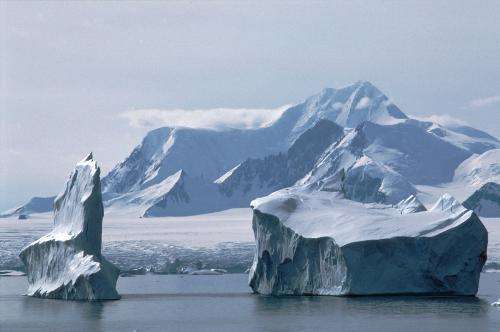 Climate related iceberg activity has massively altered life on the seabed