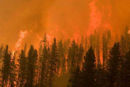 Coexist or perish, new wildfire analysis says