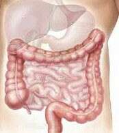 Colon cancer on the rise for U.S. adults under 50