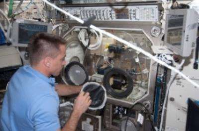 Combustion continues to draw researchers to space station