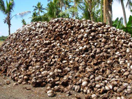 Company converts coconut husk fibers into materials for cars and homes