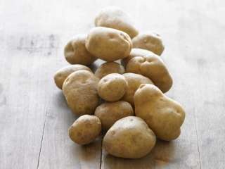 Controlling obesity with potato extract