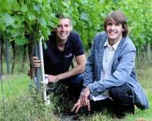 Cornish winemakers could benefit from climate change study