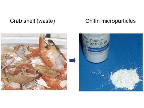 Crab and other crustacean shells may help prevent and treat inflammatory disease