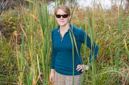Dartmouth study finds restoring wetlands can lessen soil sinkage, greenhouse gas emissions