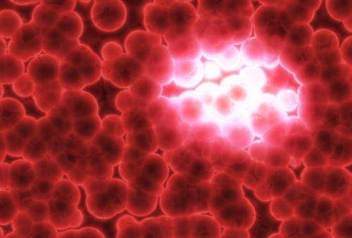 Decoding the emergence of metastatic cancer stem cells