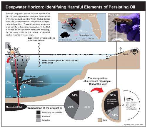 Deepwater Horizon: Identifying harmful elements of persisting oil