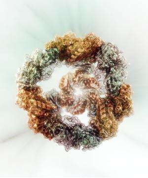Design of self-assembling protein nanomachines starts to click