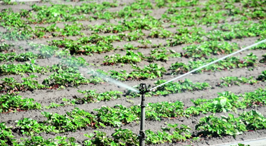 Determining the sustainability of water, agriculture in Arizona