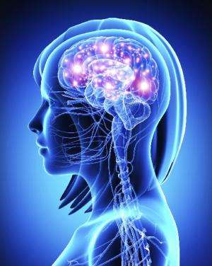 Brain encodes time and place of taste memory
