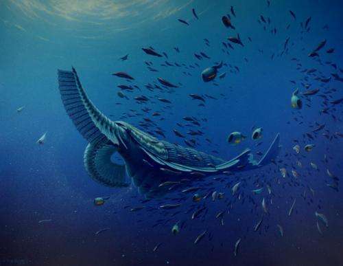 Ancient sea creatures filtered food like modern whales