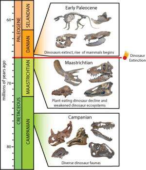 Dinosaurs fell victim to perfect storm of events, study shows