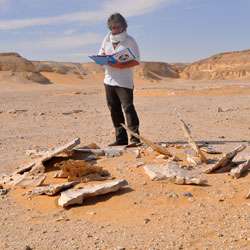 Discovering the artists of the Eastern Sahara