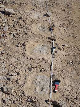 Discovery of oldest footprints gives clues to Mexico's climate