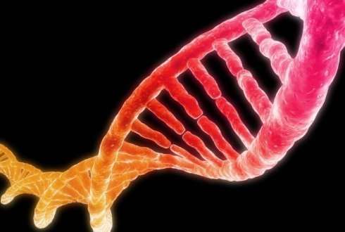 DNA based diagnostics 2.0