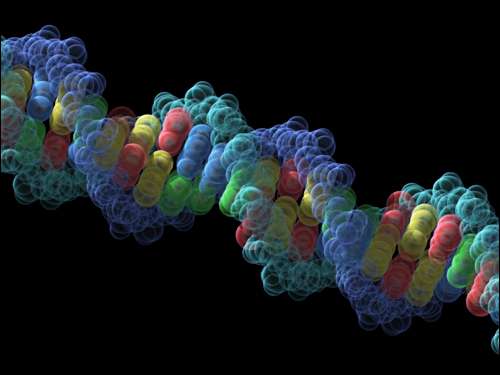 DNA may have had humble beginnings as nutrient carrier