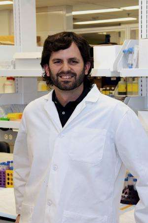 Doctoral student develops a new cross-disciplinary therapy for pancreatic cancer